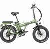 RATTAN LM 750 W Fat Tire E-Bike 750w