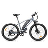 RATTAN COMPASS 500W MINI Fat Tire E-Bike 500