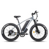 RATTAN PATHFINDER 750 W Fat Tire E-Bike 750w