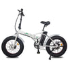 Mini Cruiser 500W Fat Tire Foldable Ebike